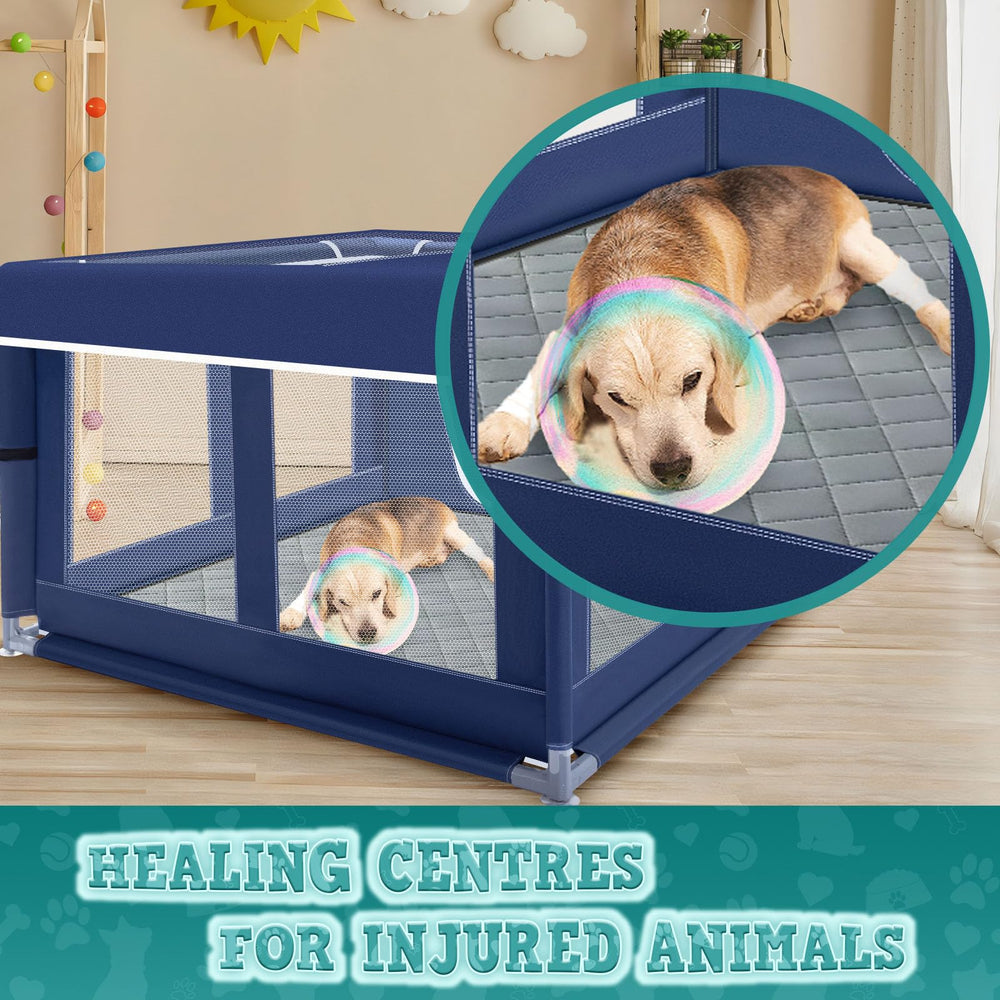 XVISHX sturdy nonmetal frame reduces bite hazards for dogs.