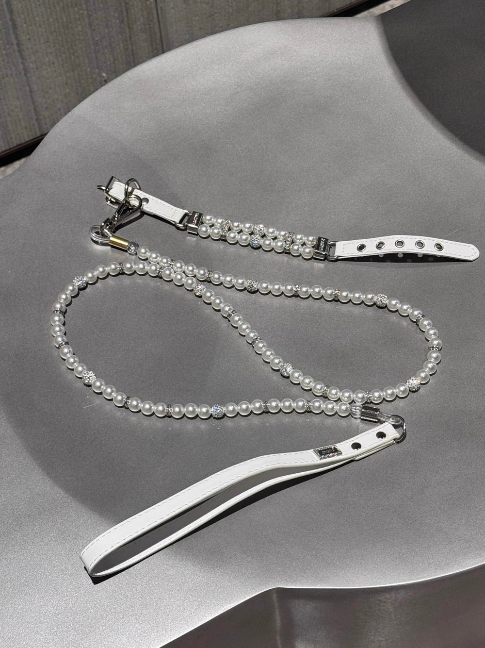 XWTMIM dog wearing pearl set on a stylish outing.