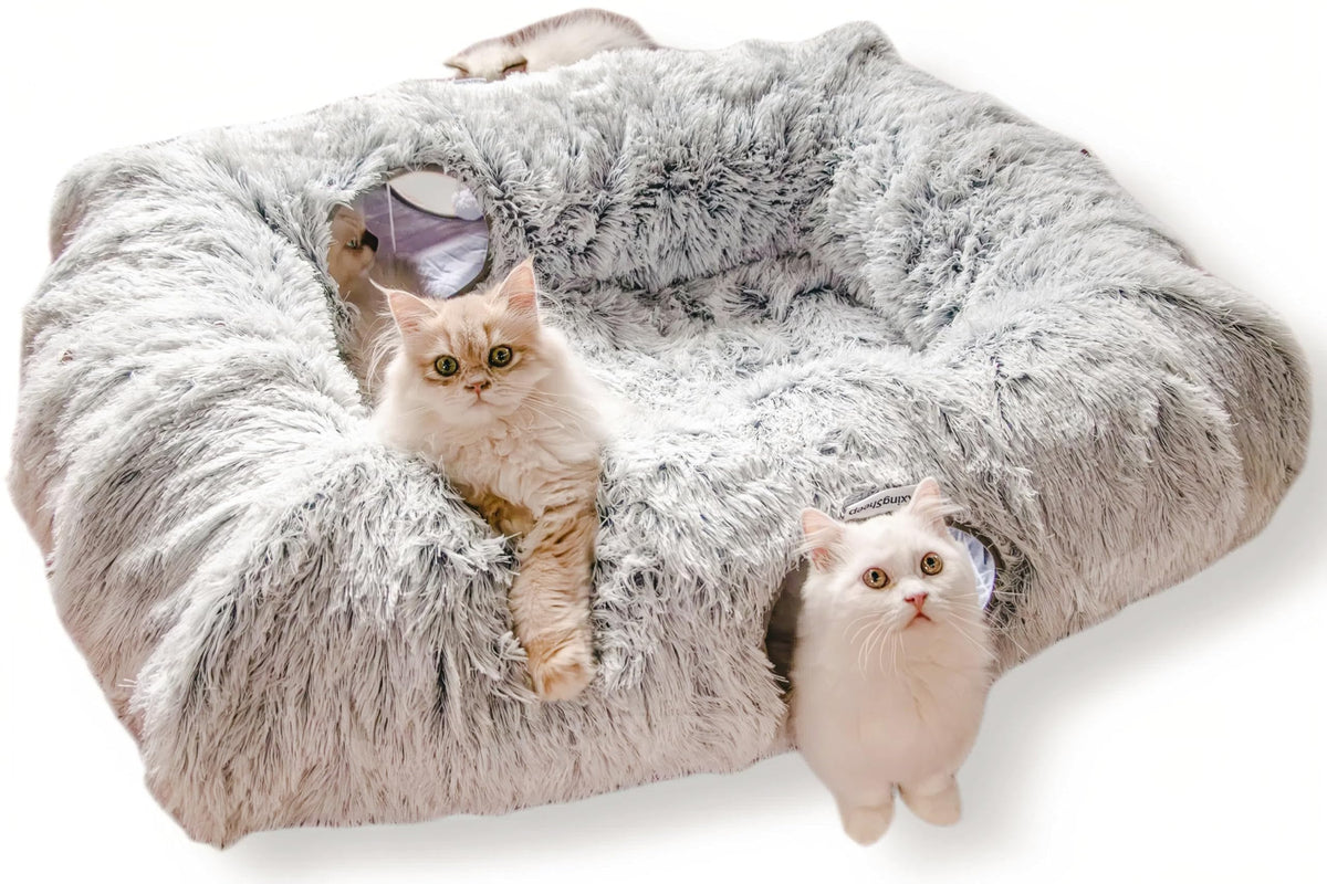 XxingSheep 4-cave XL cat tunnel bed offers spacious lounging for indoor cats.