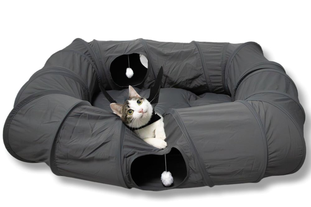 XxingSheep 4Way XL Cat Tunnel Bed inside view showing spacious play space in dark gray