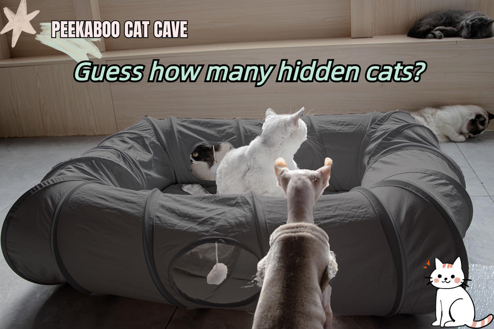 XxingSheep cat tunnel bed exterior in dark gray offers cozy hideaway for lounging