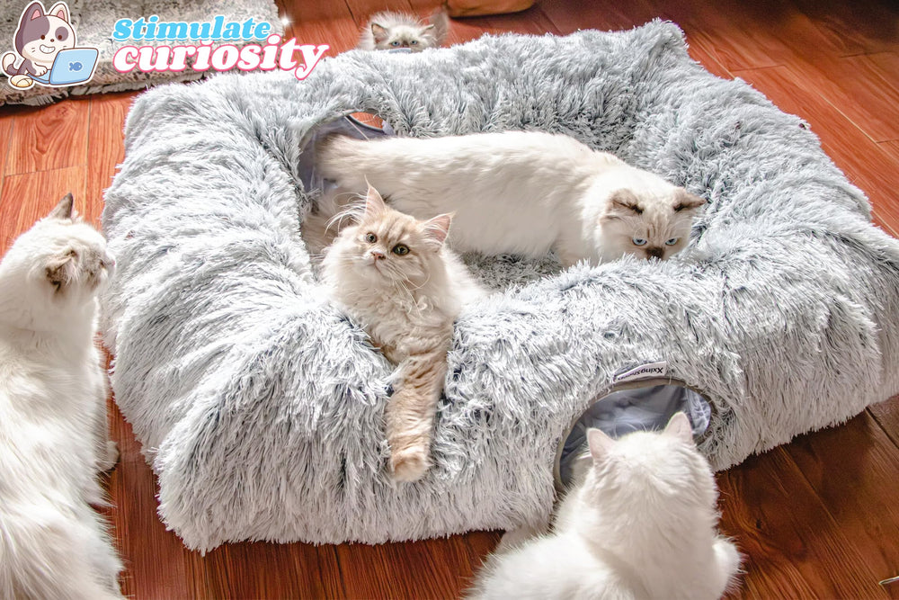 XxingSheep warm mat inside the tunnel adds cozy comfort for naps.