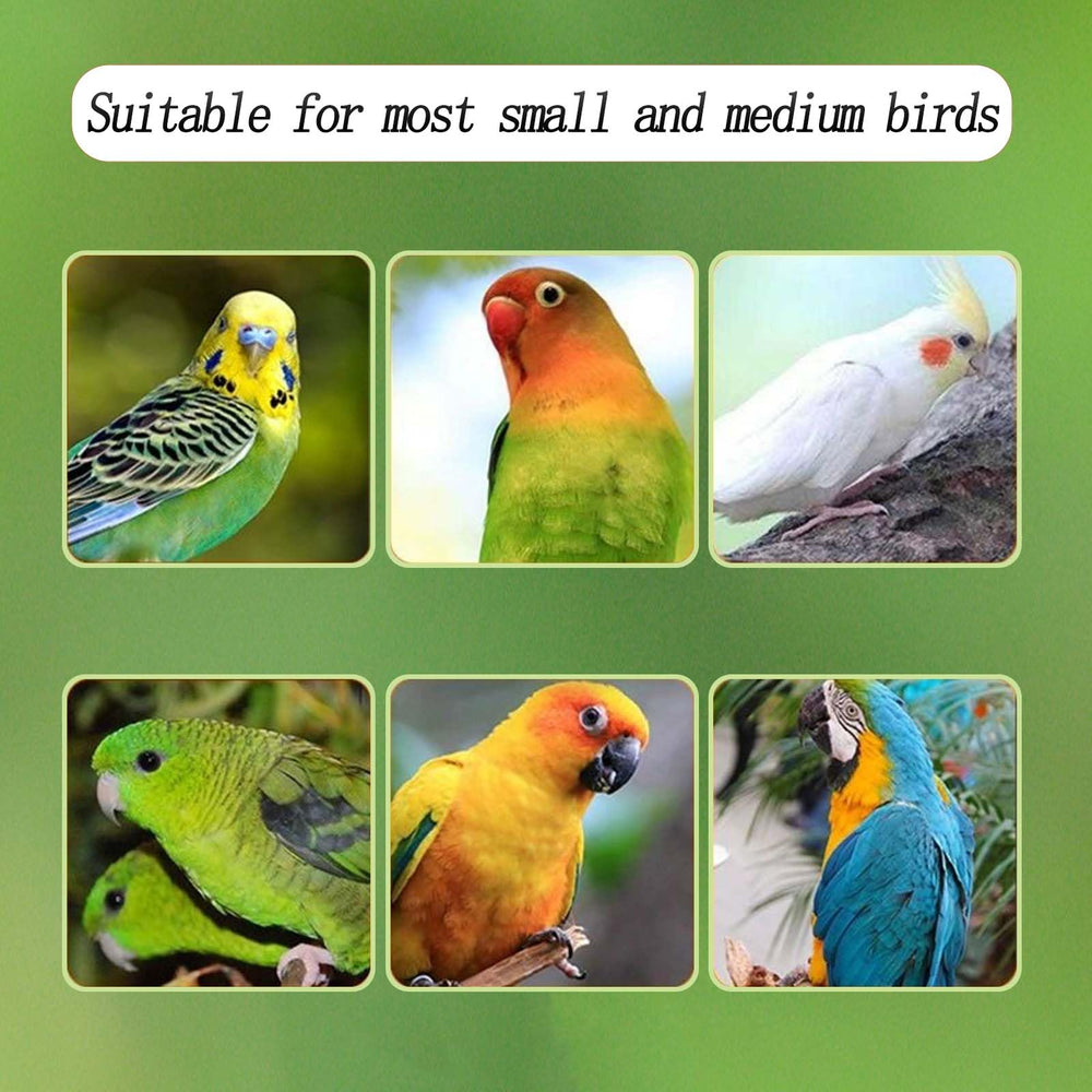 Xxmbbjy anti-slip stand keeps birds stable during feeding