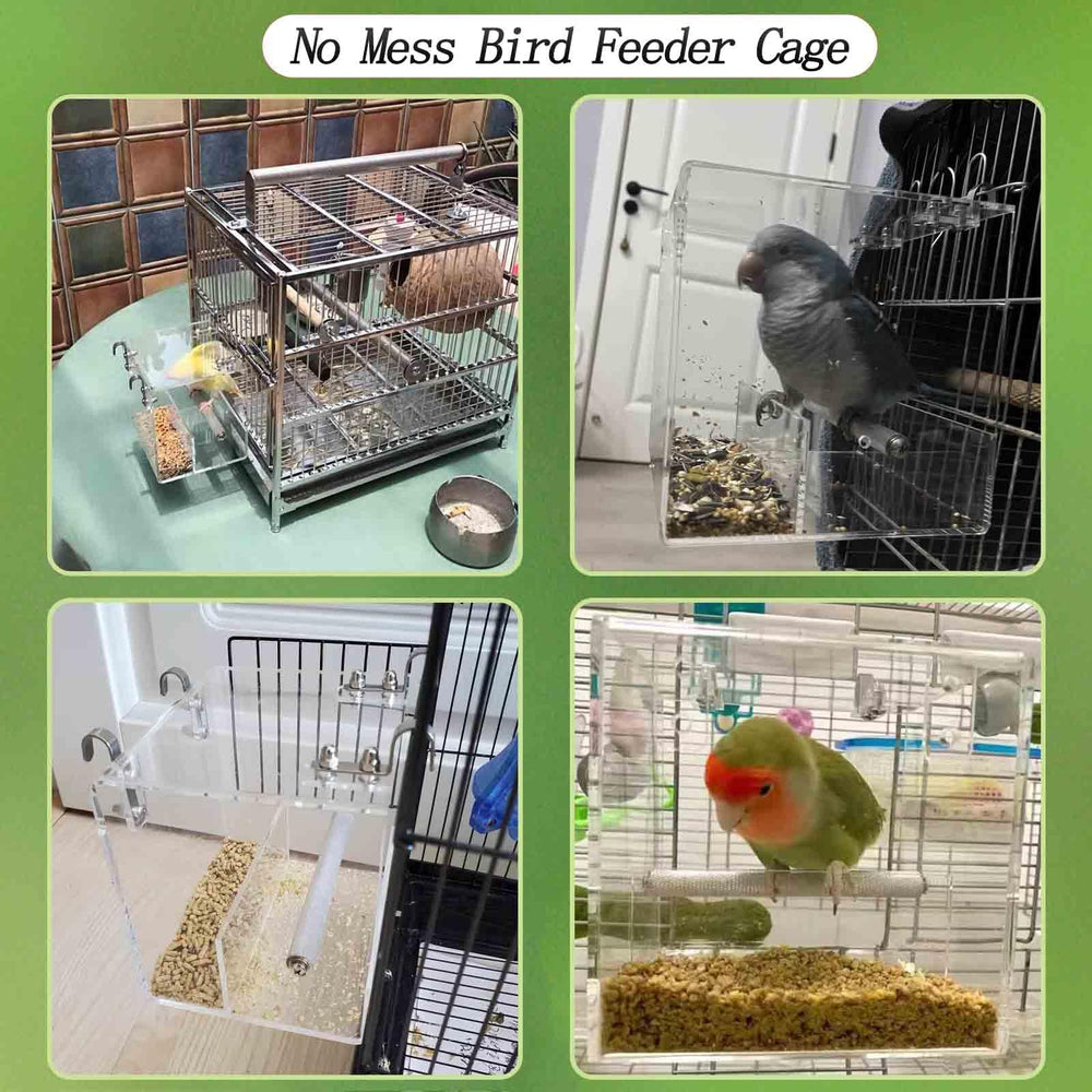 Xxmbbjy seed separation compartment highlights reduced waste and cleaner cage.