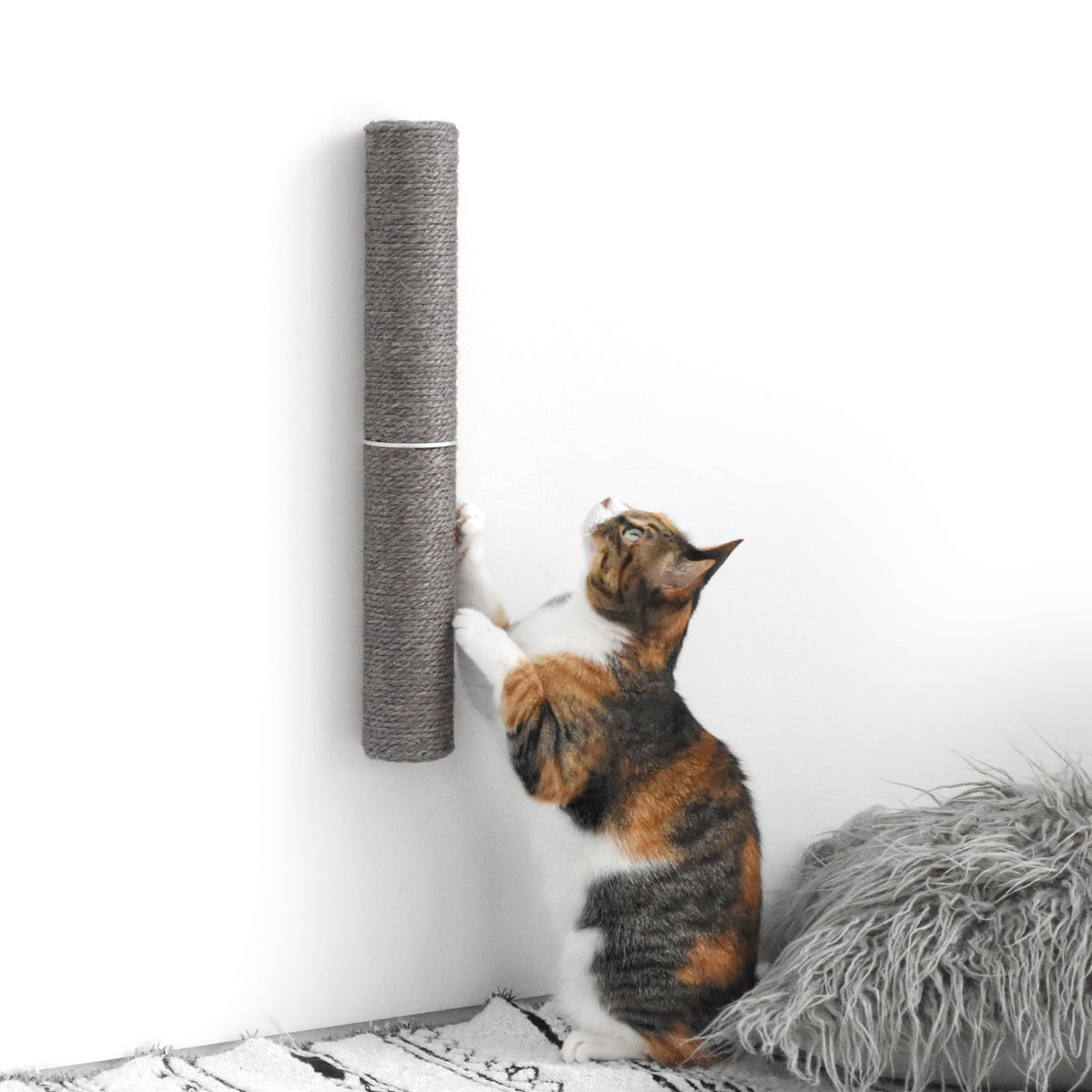 Xympo 18in wall-mounted sisal scratcher bracket shows sturdy vertical scratching support.