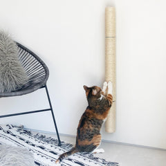 xympo 34-inch wall-mounted scratcher assembly demonstrates a sturdy setup for vertical scratching.