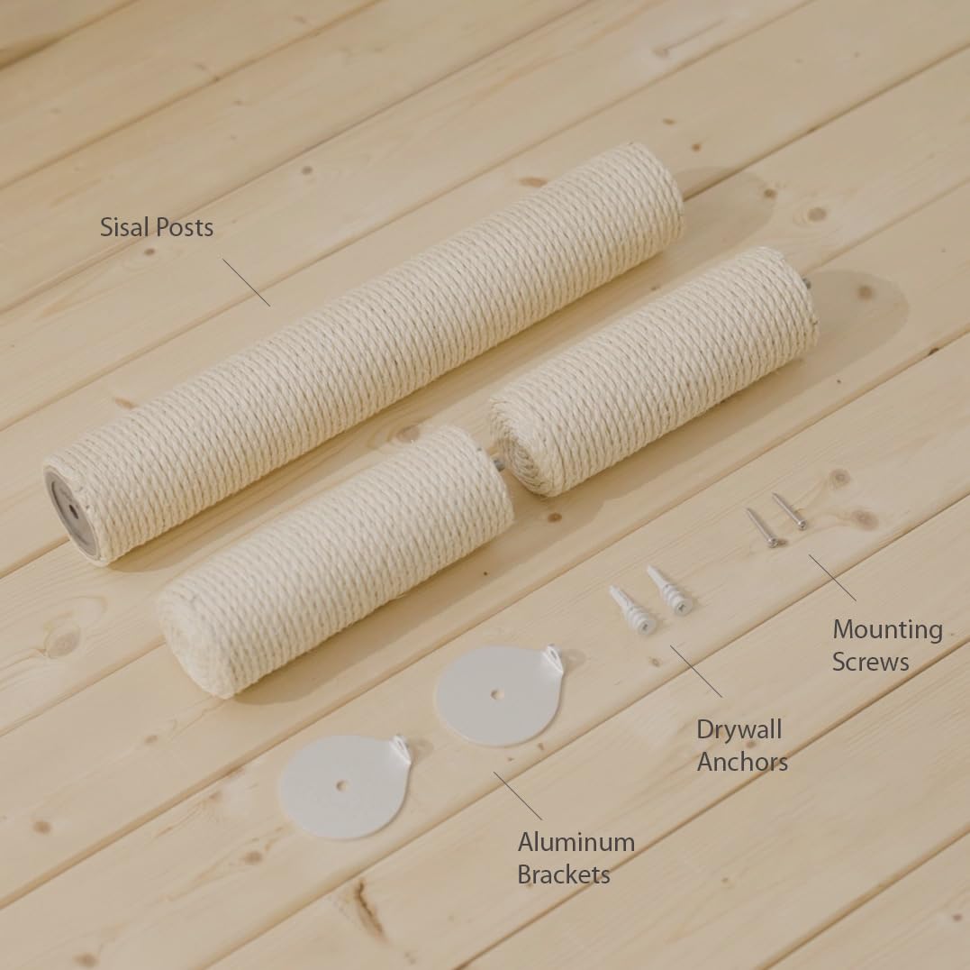 xympo cat scratching on wall illustrates vertical stretch opportunities for active cats.