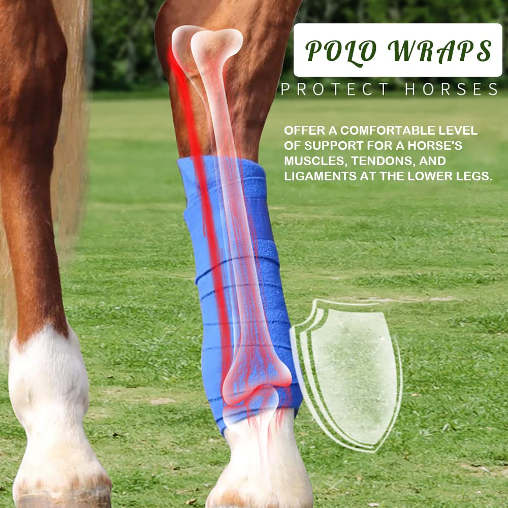 Y.J TAILS blue polo wraps feature Velcro closure for quick adjustments