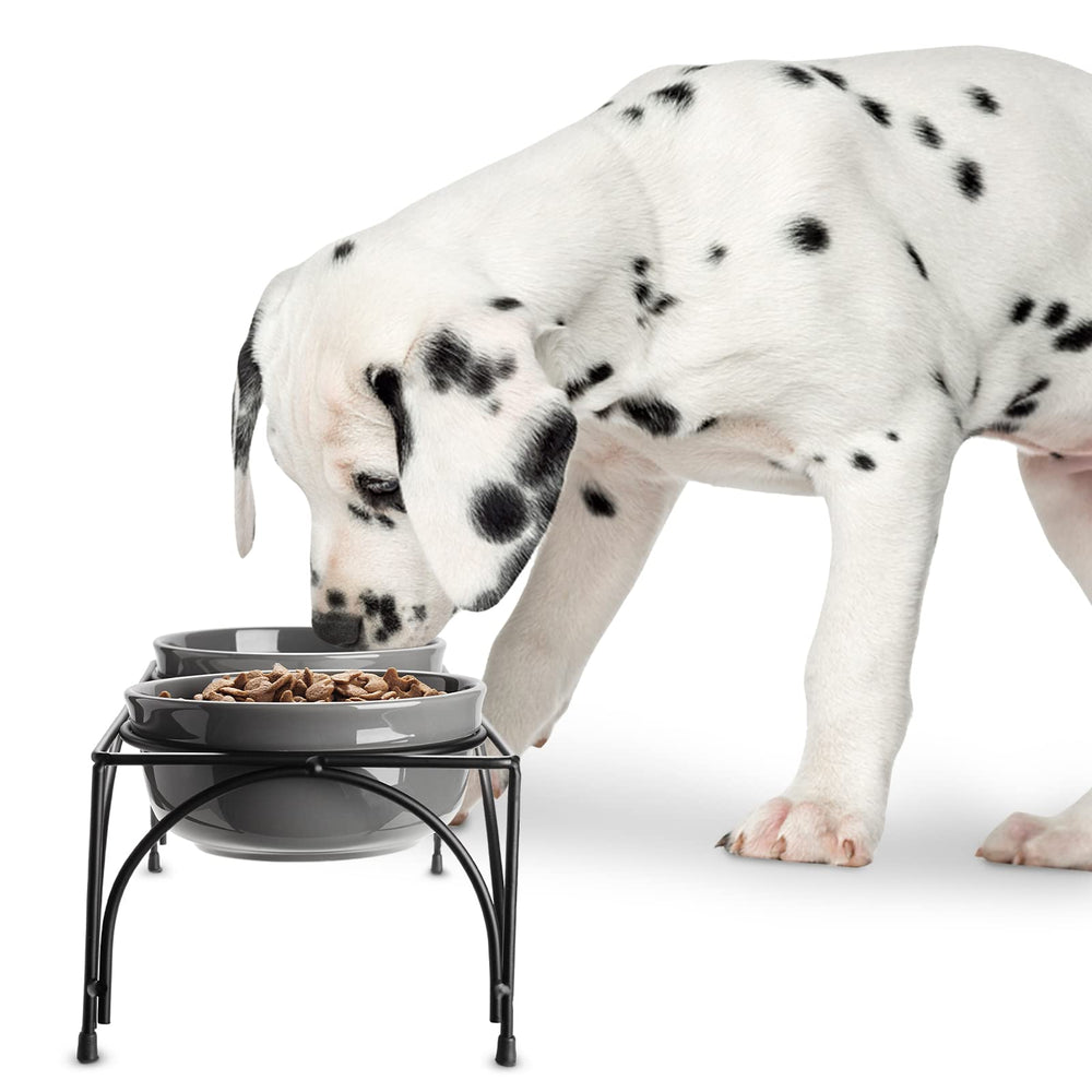 Y YHY dog and cat feeding setup designed for home use