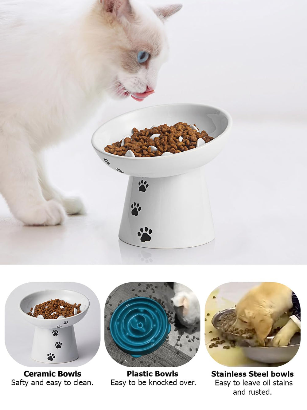 Y YHY dual-food compatibility close-up highlights use with dry and wet food