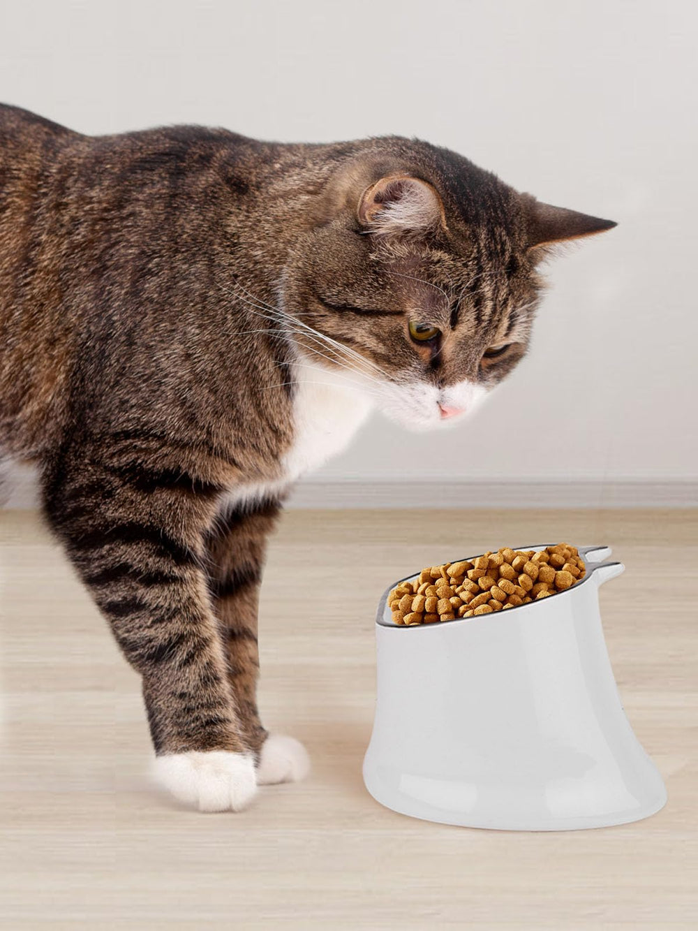 Y YHY white ceramic elevated bowl blends with modern kitchens and feeding spaces.