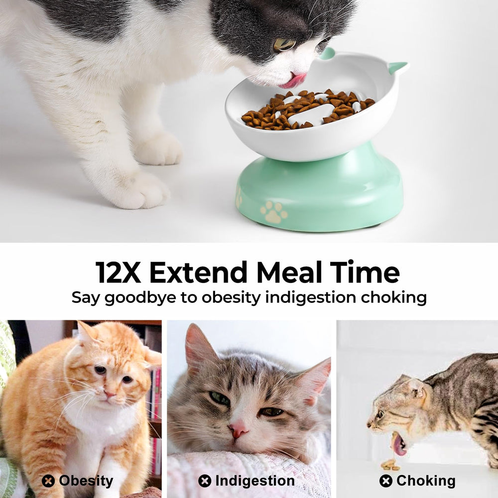 Y YHY ceramic easy-clean cat bowl simplifies daily maintenance