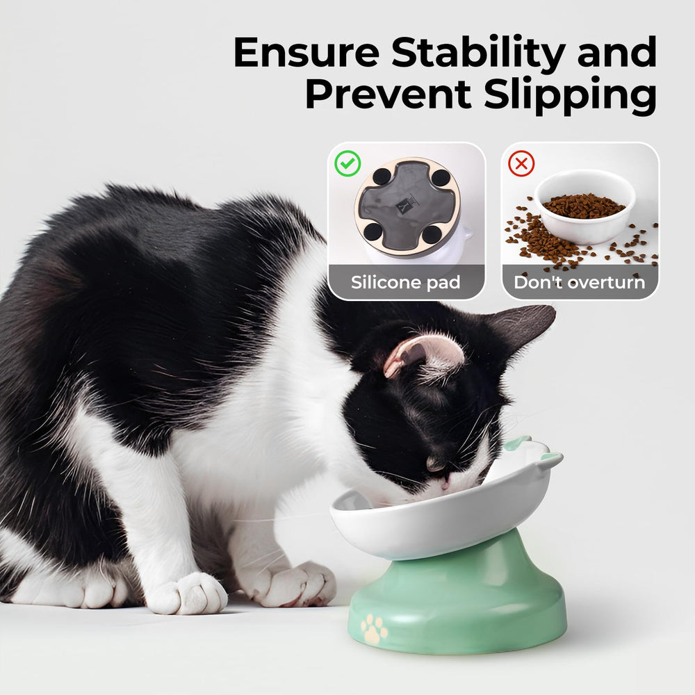 Y YHY ceramic cat bowl provides stable durable dining without tipping