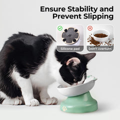 Y YHY ceramic cat bowl provides stable durable dining without tipping