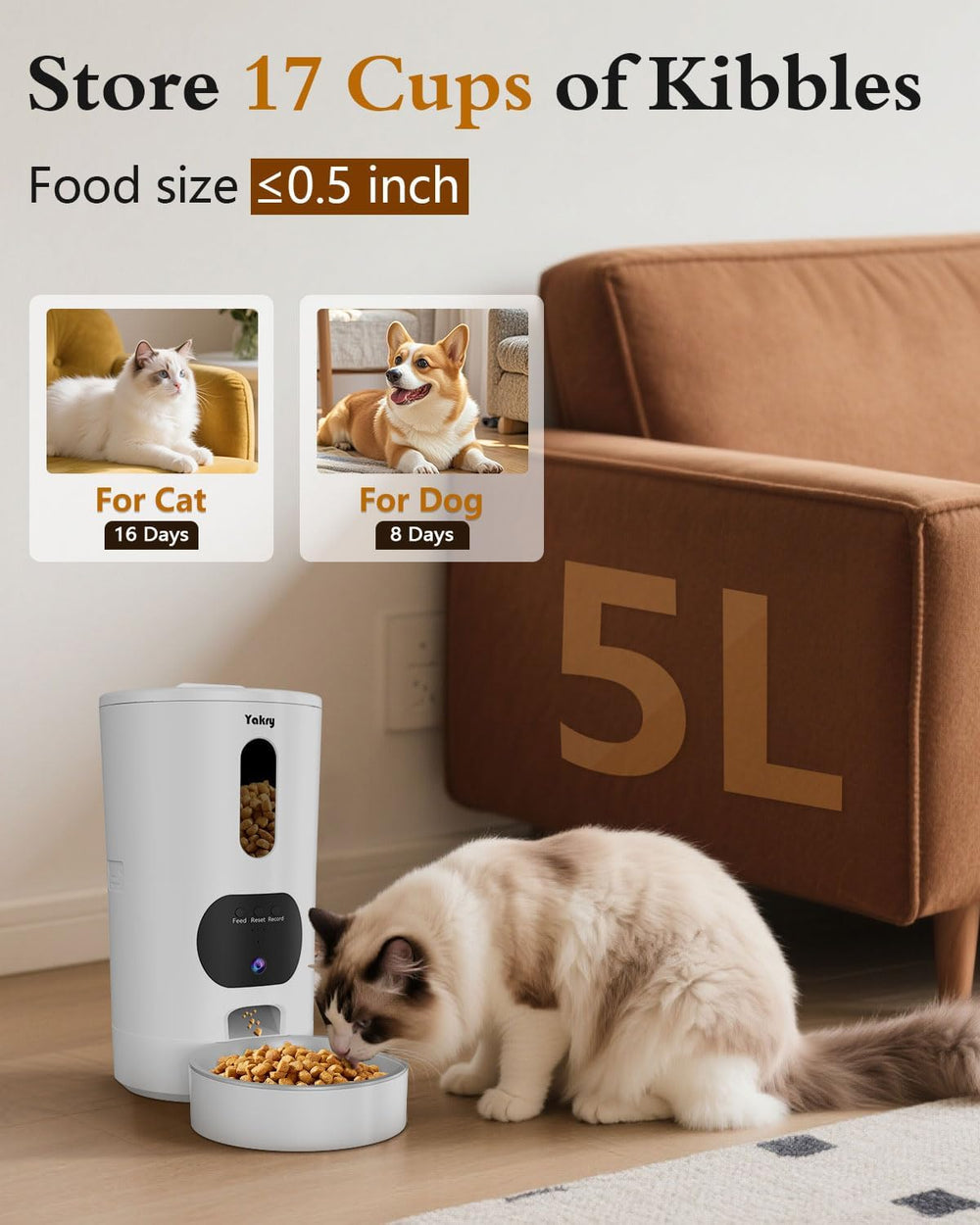 Yakry automatic cat feeder night vision video for dawn and dusk visibility