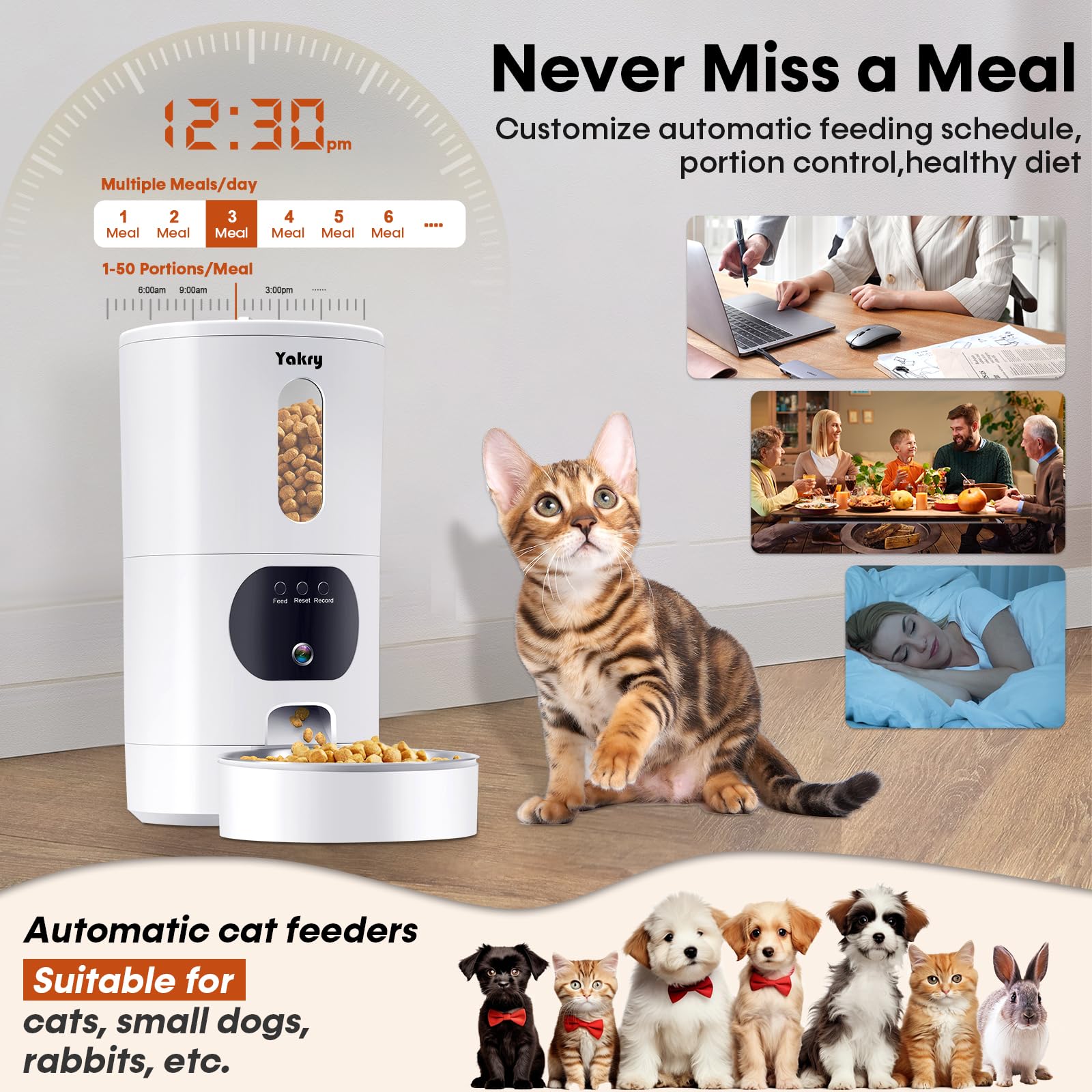 Yakry automatic cat feeder night vision for clear meals after dark