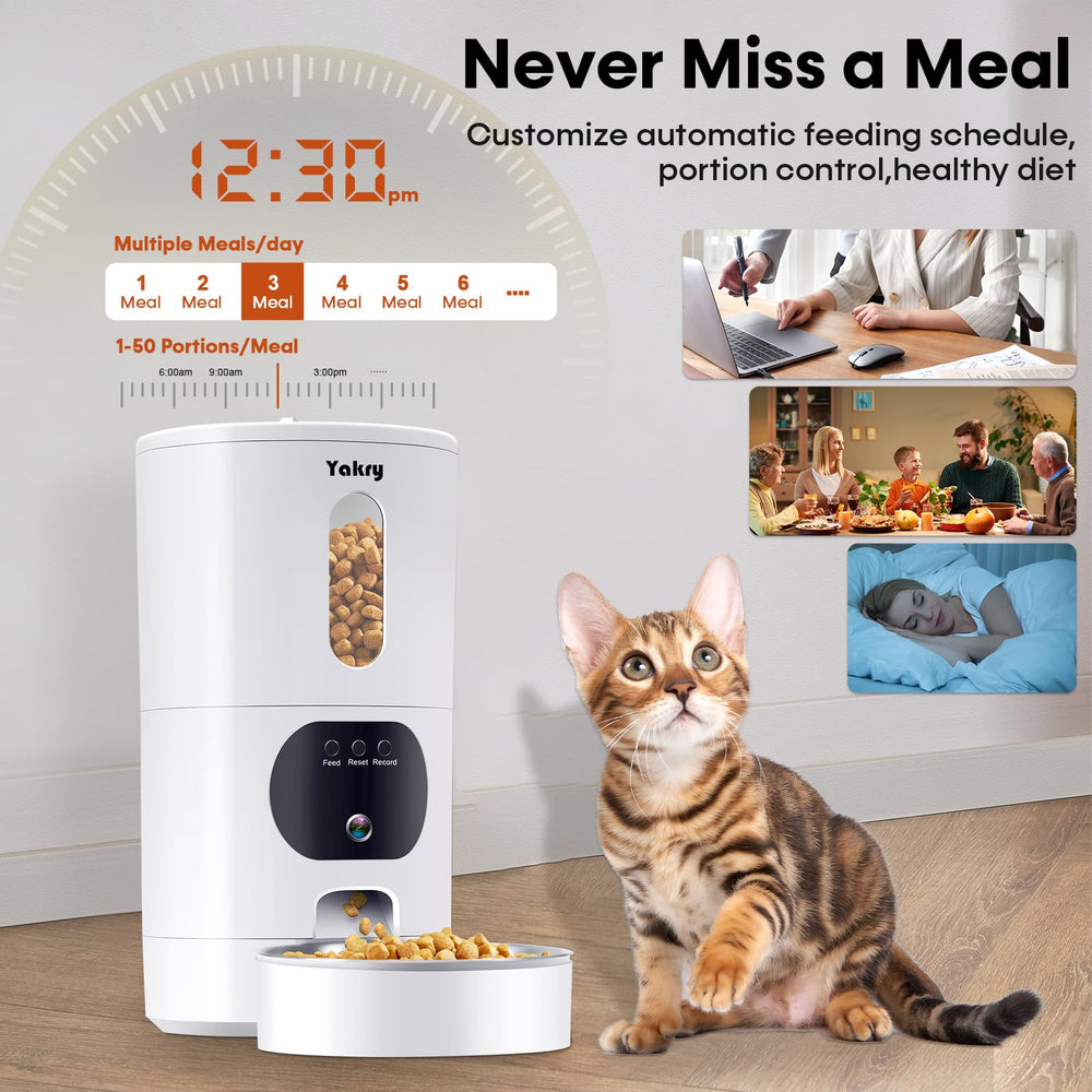 Yakry two-cat setup demonstrates shared feeding without manual intervention