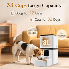 Yakry automatic feeder 33 cup capacity showcases long intervals between refills.