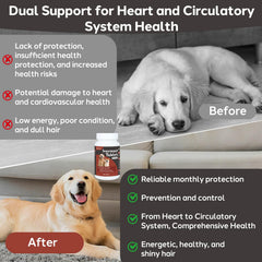 Yakucho Young Heart for Dogs bottle sits upright signaling trusted heart-health support.