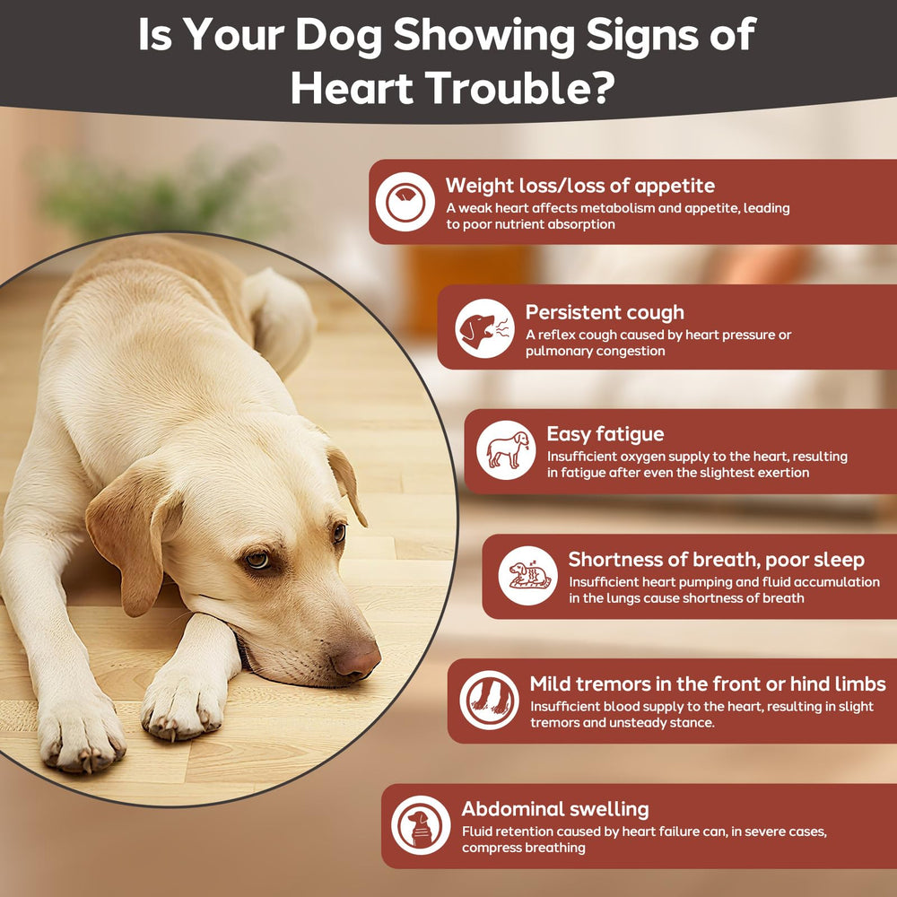 Yakucho Young Heart for Dogs close-up shows tasteless tablets for picky eaters.