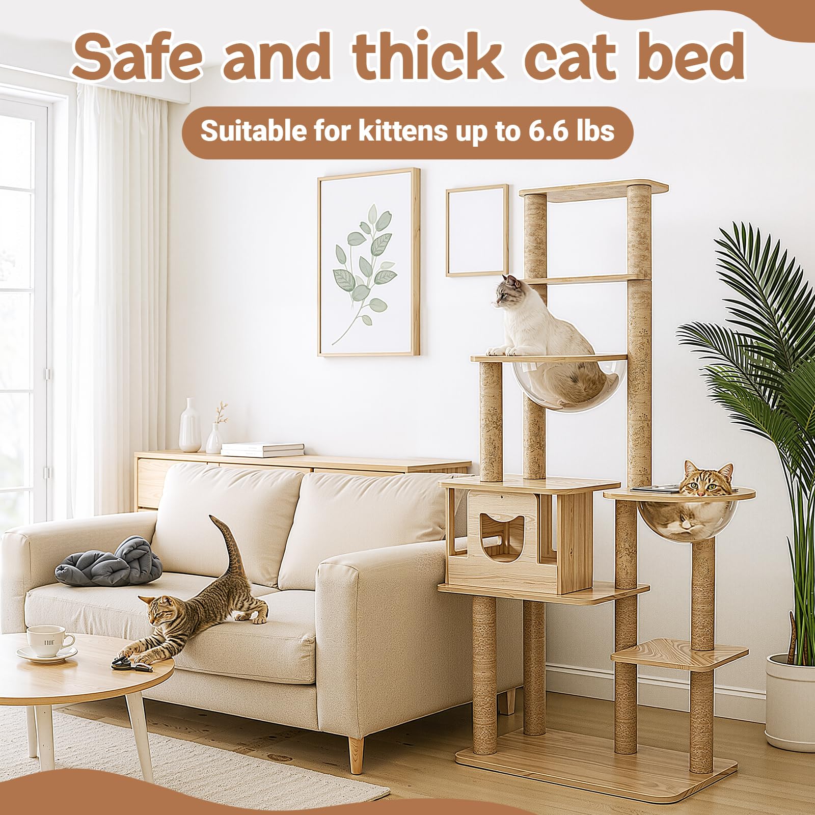 Yalikop cat bubble dome ready for soft cushions for extra coziness