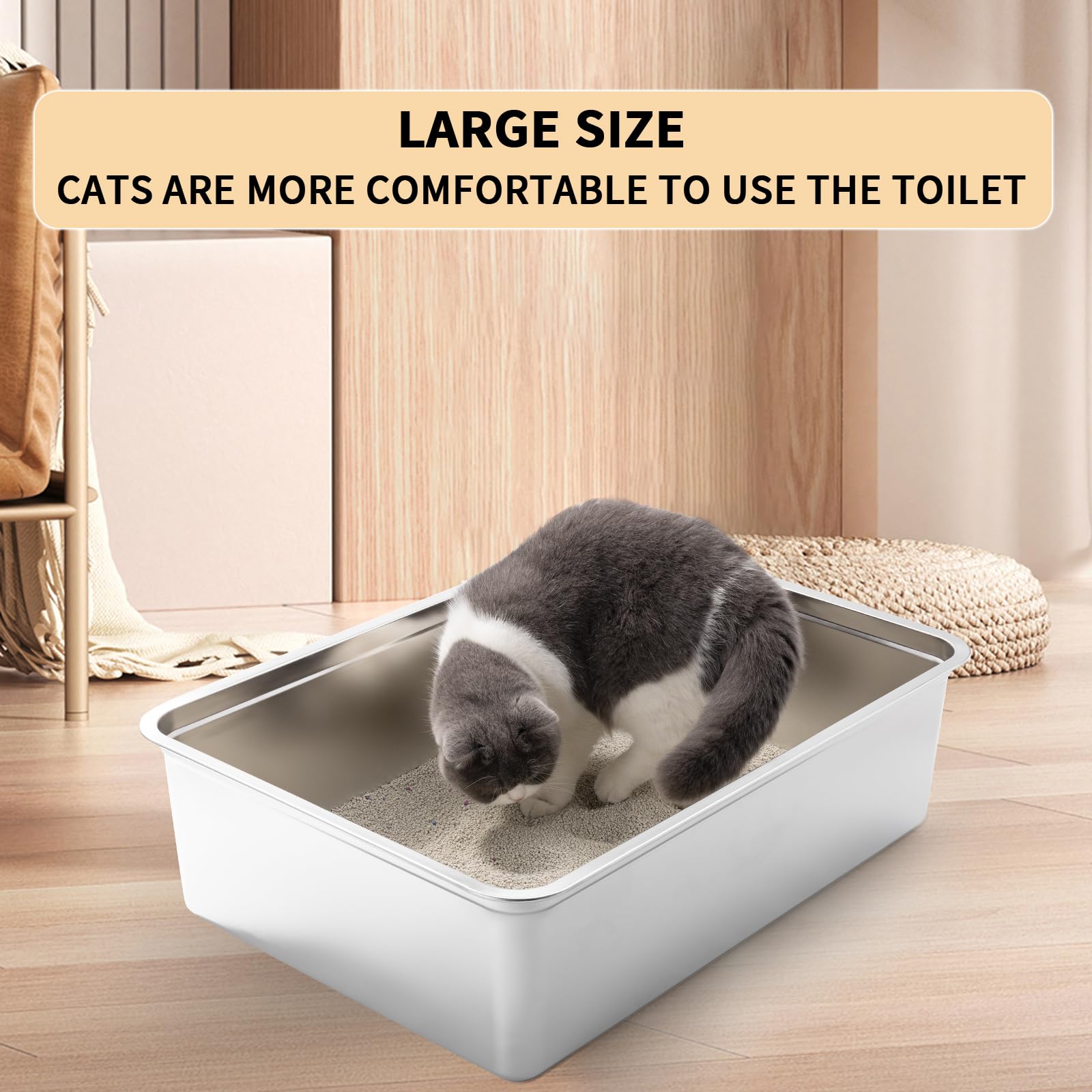 Yangbaga cat uses stainless steel litter box with confidence.