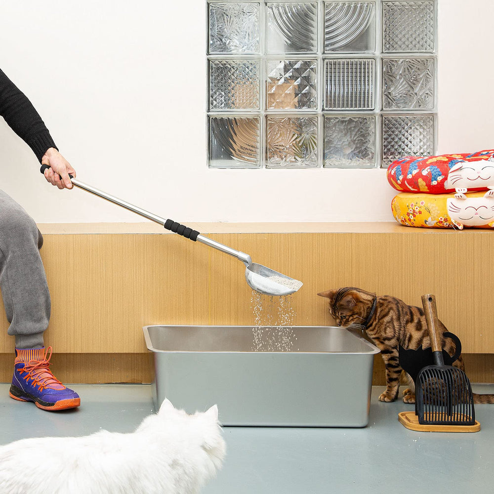 Yangbaga detachable-length scoop enables quick adjustment for lidded boxes.