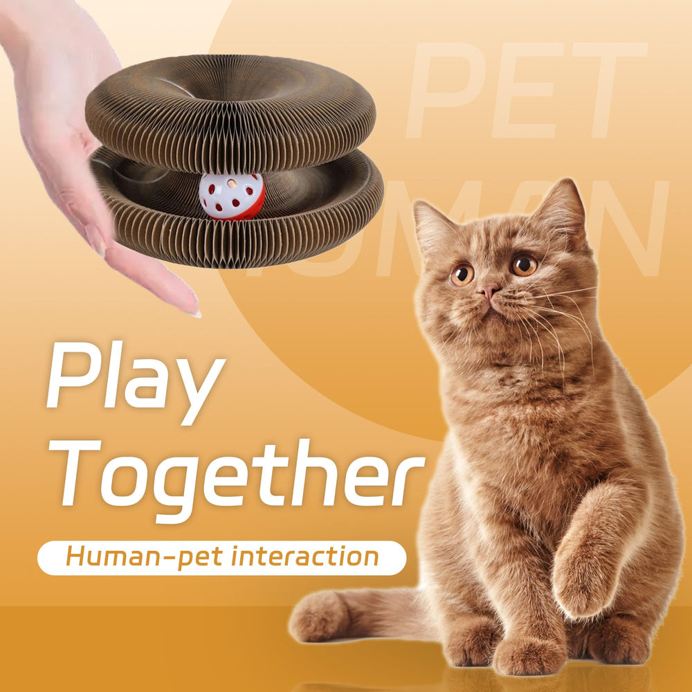 Yangmu Bfbawm honeycomb design offers durable yet claw-friendly play surface.