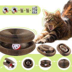 Yangmu Bfbawm Twisty Paws magnetic assembly for quick setup and versatile shapes.