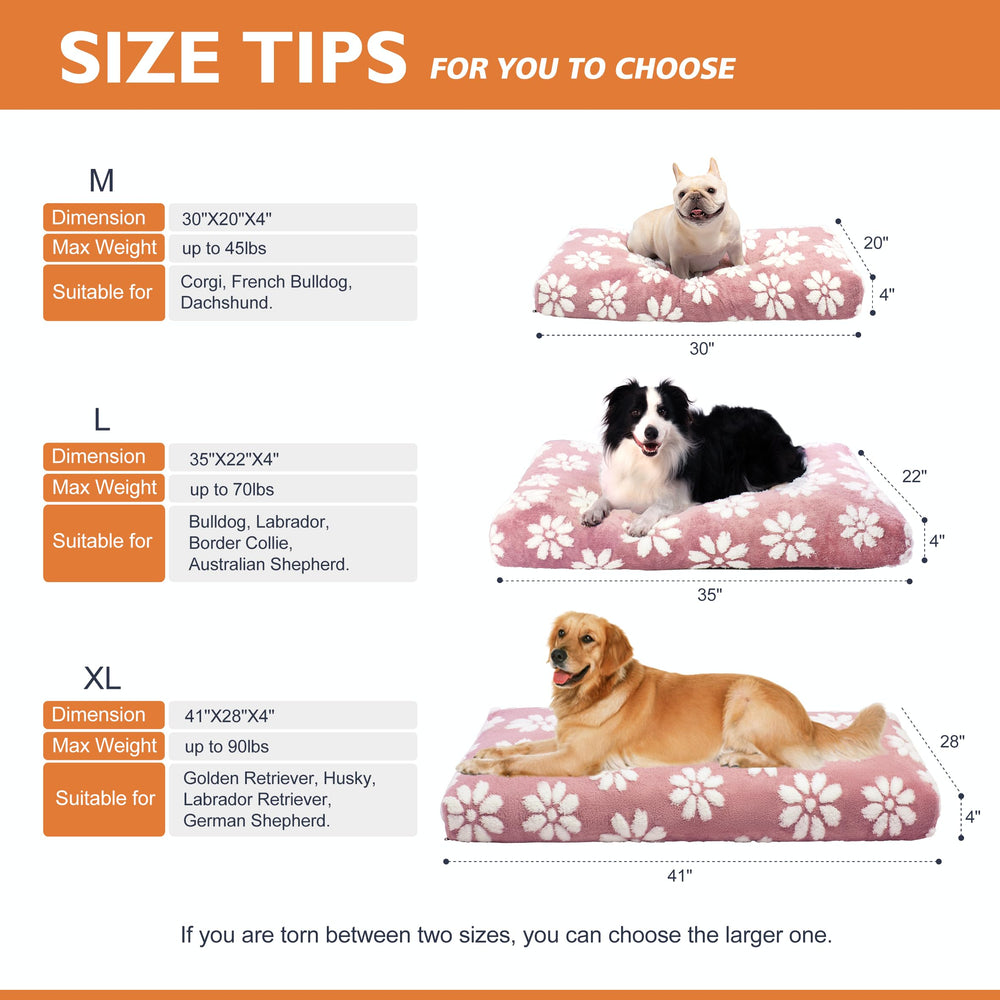 Yaning indoor-outdoor placement demonstrates stylish pet comfort anywhere
