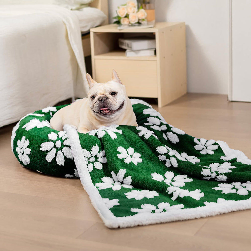 Yaning Donut Bed raised rim supports head and neck comfort for restful lounging.