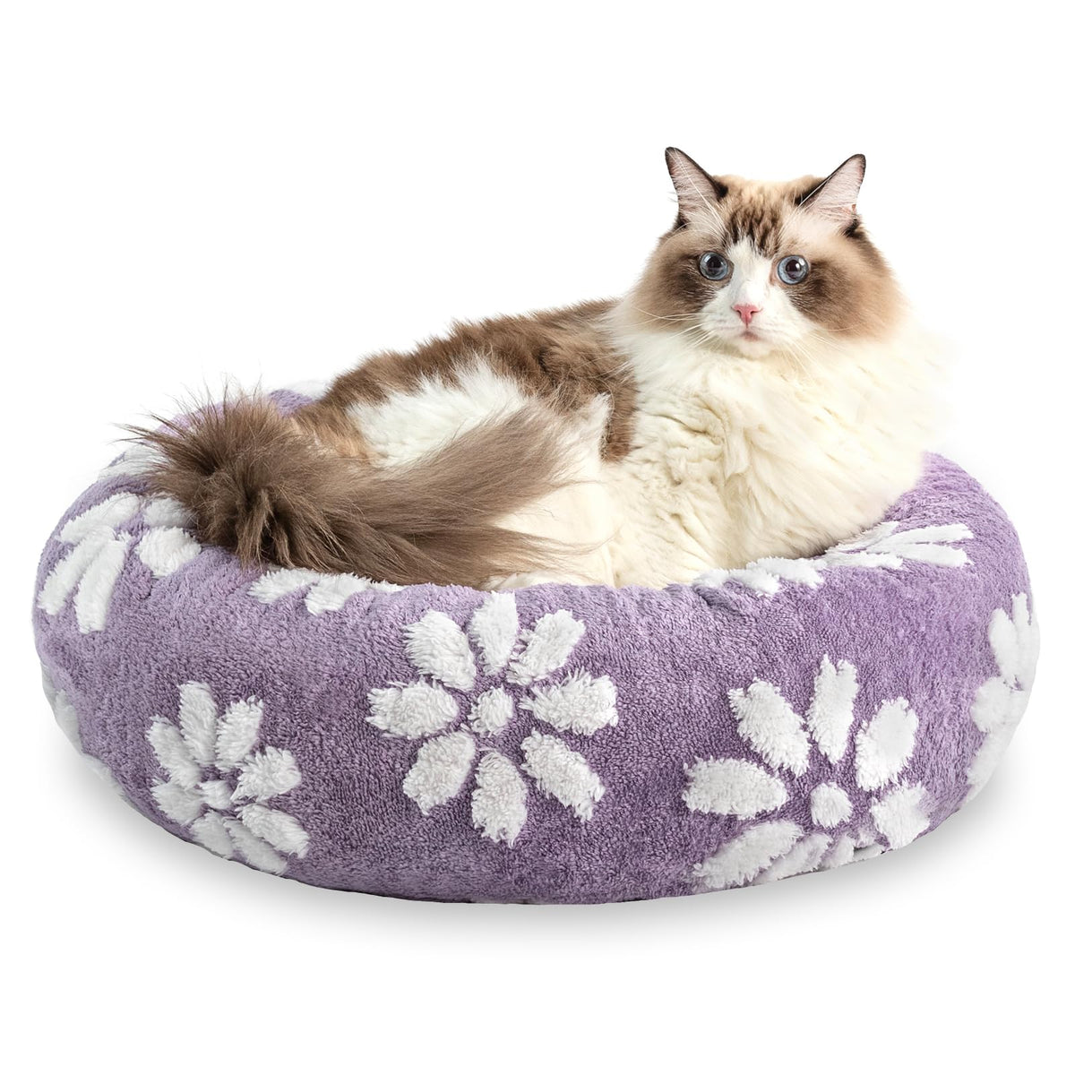 Yaning Donut Bed purple front view shows plush comfort for small dogs