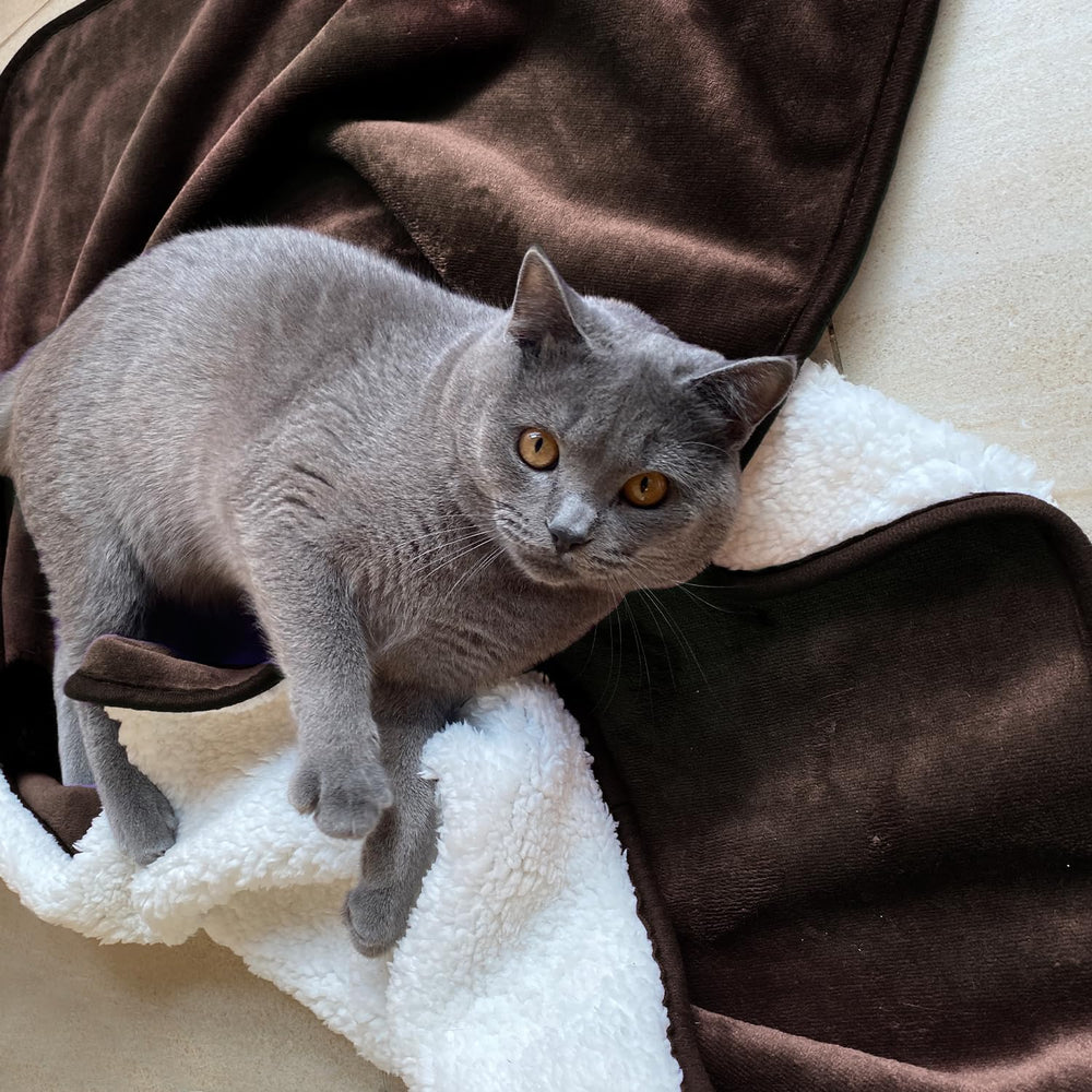 Yaning waterproof blanket on couch guards against spills and pet fur.
