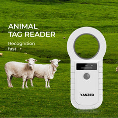 Yanzeo OLED display close-up shows sunlight-friendly readability during outdoor pet IDs.