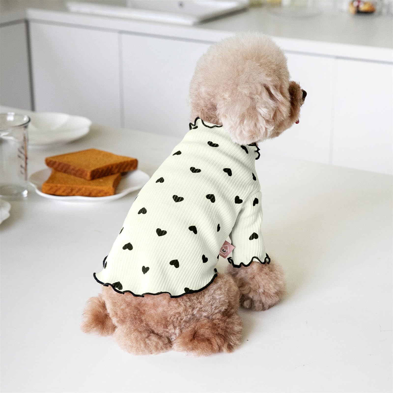 Yaopelky dog outfit recommended for weddings and photoshoots for adorable looks.