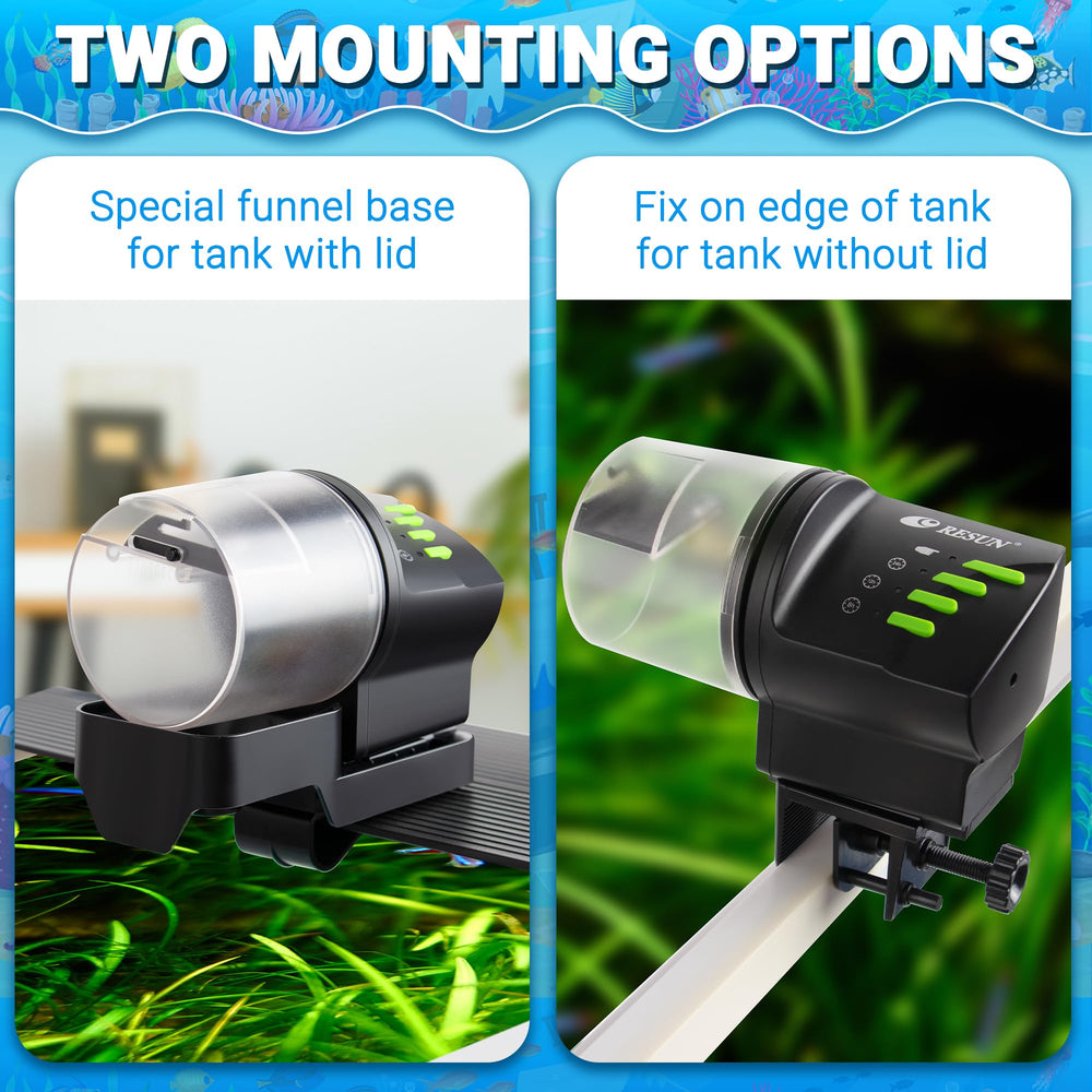 Ycozy fish feeder with plug-in power option for steady daily use