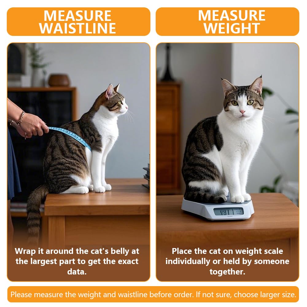 Ycozy XL cat door transparent flap aids training and visibility.