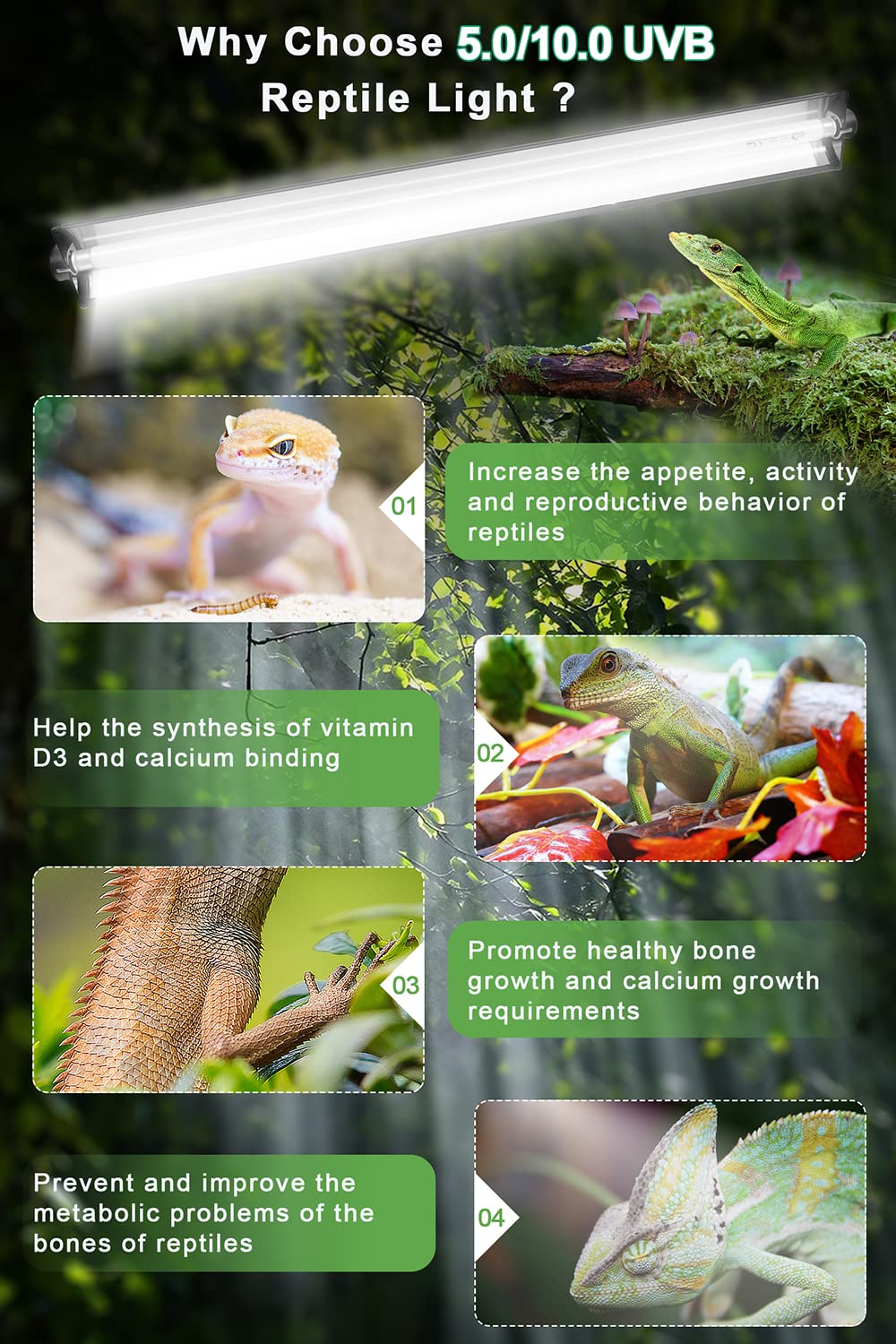 Ycxydr terrarium hood with on/off switch enables convenient reptile lighting routines.