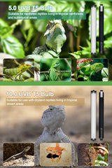 Ycxydr 5.0 UVB bulb for rainforest reptiles supporting calcium metabolism and bone health.