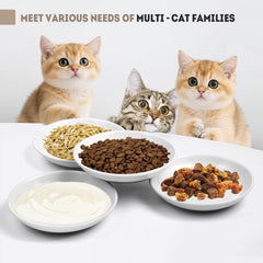 YEAHGO cat bowls with 4 spring toys add playful enrichment between meals.