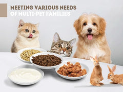 YEAHGO no-spill dishes keep floors clean while cats eat and drink.