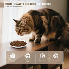 YEAHGO ceramic cat bowls smooth finish resists odors and makes cleaning easier.