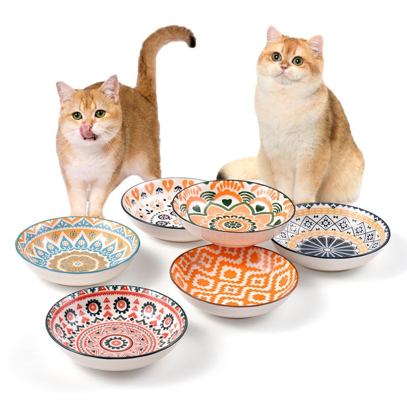 YeahGo ceramic cat bowls wide shallow 5.5-inch set for whisker-friendly meals