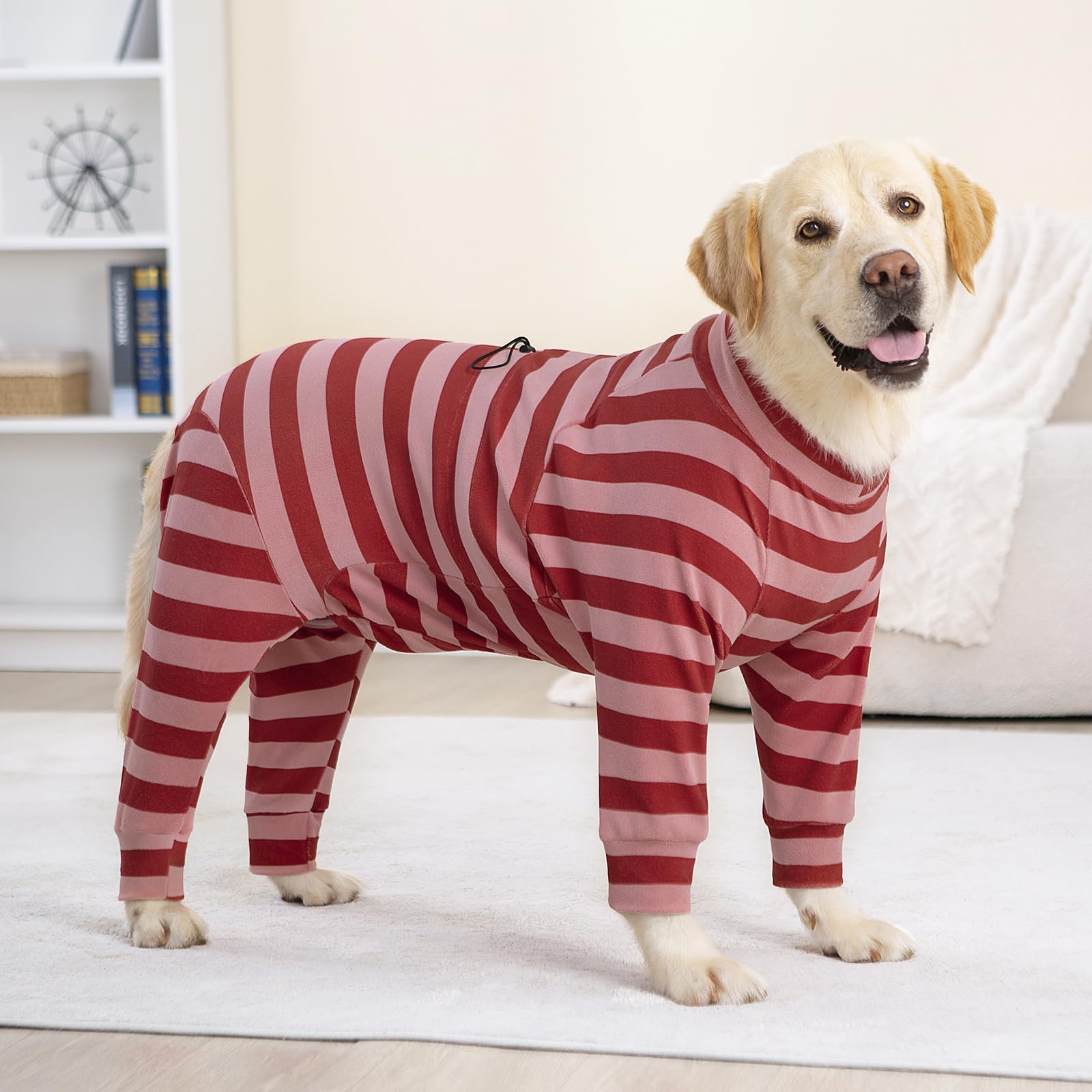 Yeapeeto adjustable tummy-fit dog coat ensures secure, snug fit for varied shapes.