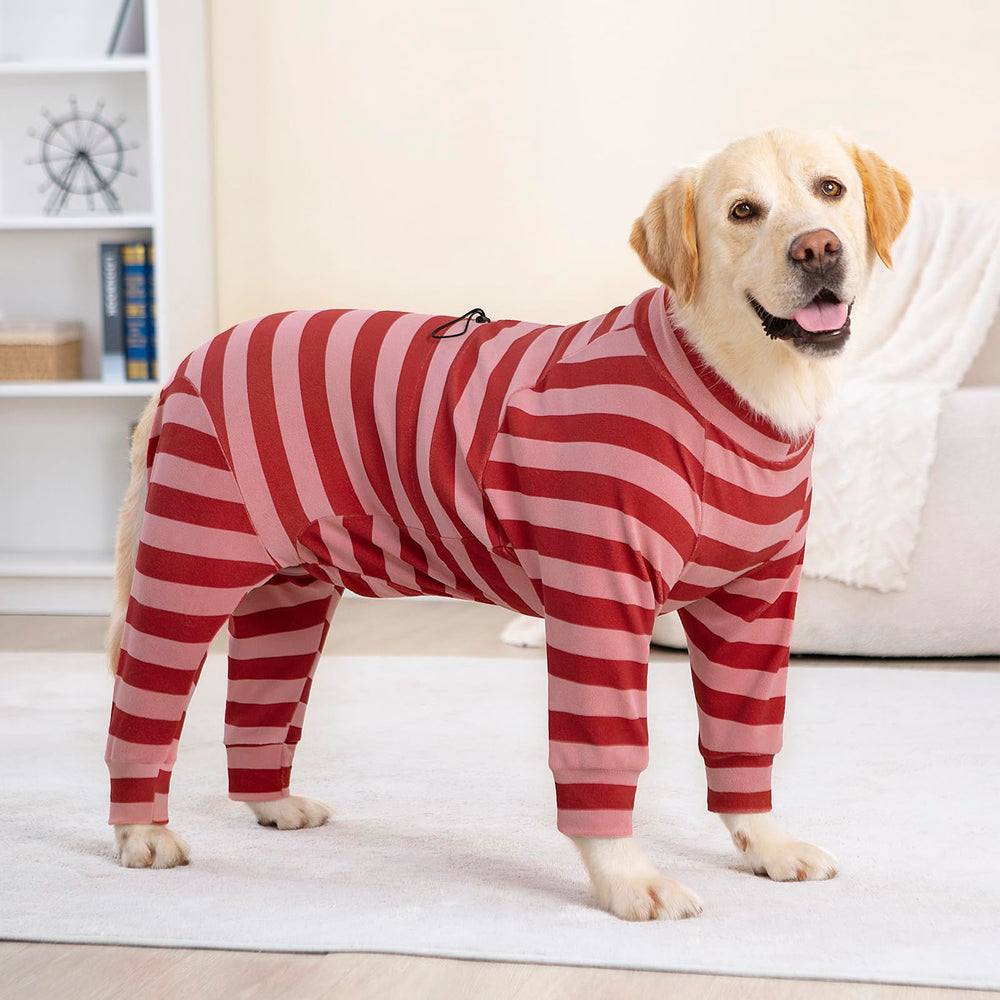 Yeapeeto adjustable tummy-fit dog coat ensures secure, snug fit for varied shapes.