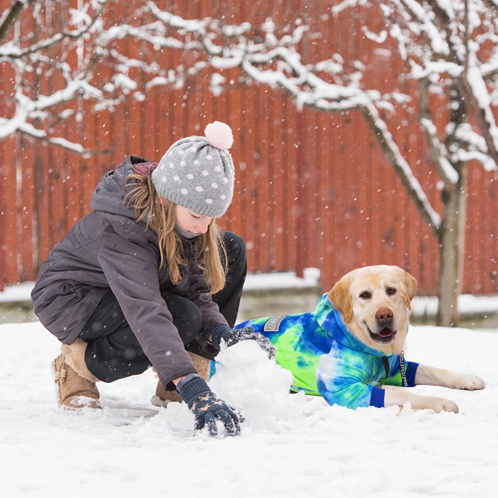Yeapeeto Bandhnu-green dog hoodie keeps dogs warm on outdoor walks