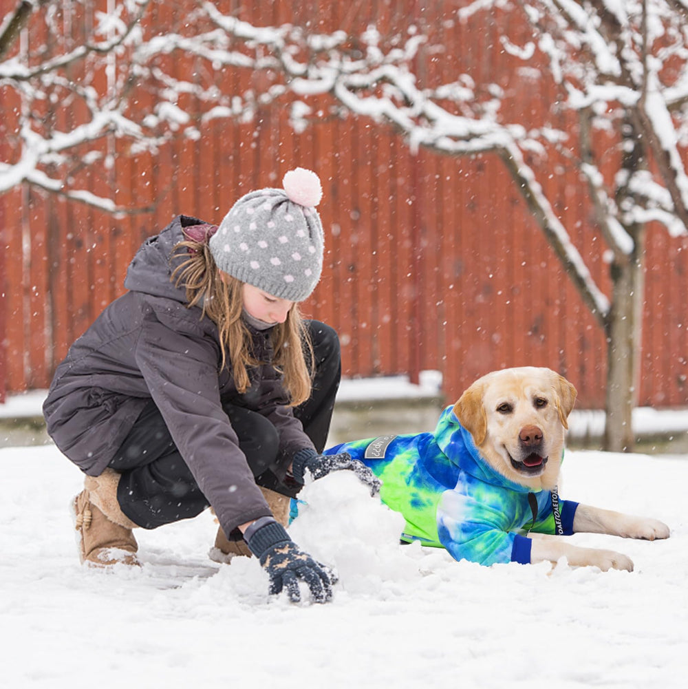 Yeapeeto Bandhnu-green dog hoodie keeps dogs warm on outdoor walks