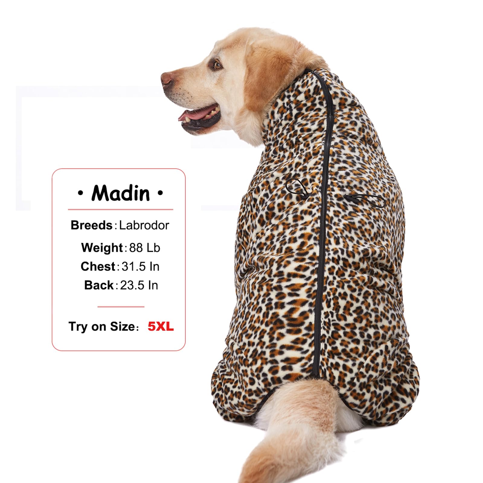 Yeapeeto dog coat abdomen coverage design keeps core warm during cold walks