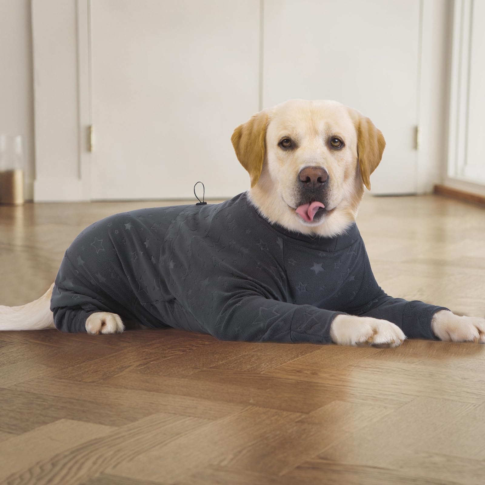 Yeapeeto available in XL to 7XL, suitable for large breeds