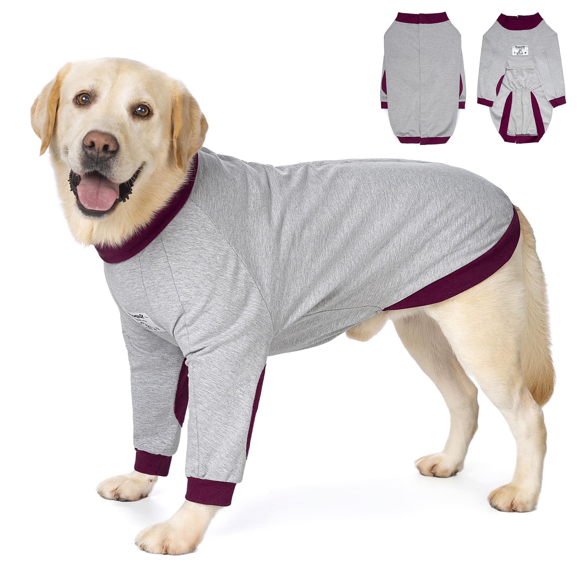 Yeapeeto elbow-protector front-legs padding for elbow protection and comfort